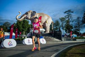 BIB: 
                            <button type="button" onclick="openModal(26541642)" class="btn btn-primary btn-sm float-right btn-popup" data-toggle="modal" data-target=".modal-high-quality">
                        <i class="fas fa-shopping-cart"></i> Add to Cart
                    </button>
                                            <button type="button" onclick="isThisMe(26541642, true)" class="btn btn-success btn-sm float-right btn-popup btn-isme hidden" data-toggle="tooltip" data-placement="bottom" title="นี่คือรูปของคุณใช่ไหม คลิกที่นี่เพื่อเอาเข้าอัลบั้ม">
                        <i class="fas fa-plus"></i> Add to album
                    </button>
                    <button type="button" onclick="isThisMe(26541642, false)" class="btn btn-warning btn-sm float-right btn-popup btn-isnotme hidden">
                        <i class="fas fa-ban"></i> Remove from album
                    </button>